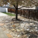 flagstone-and-tree