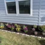 new-flowerbed